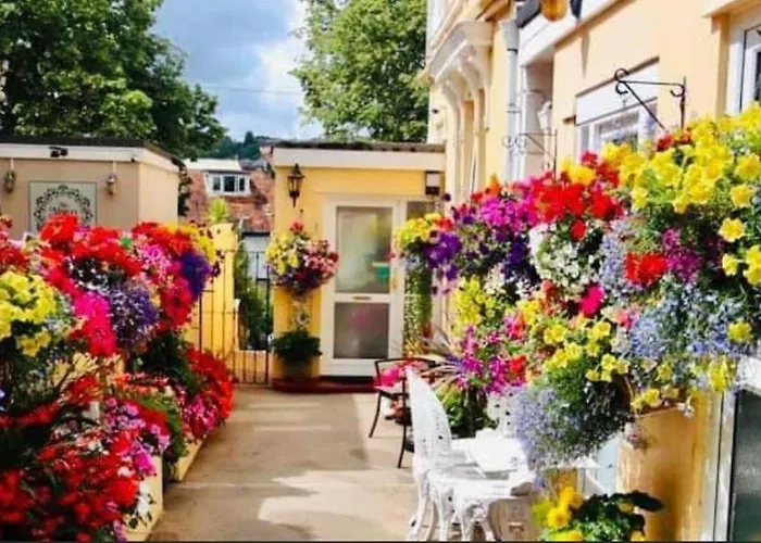 Crowndale Torquay - Exclusively For Adults Bed & Breakfast